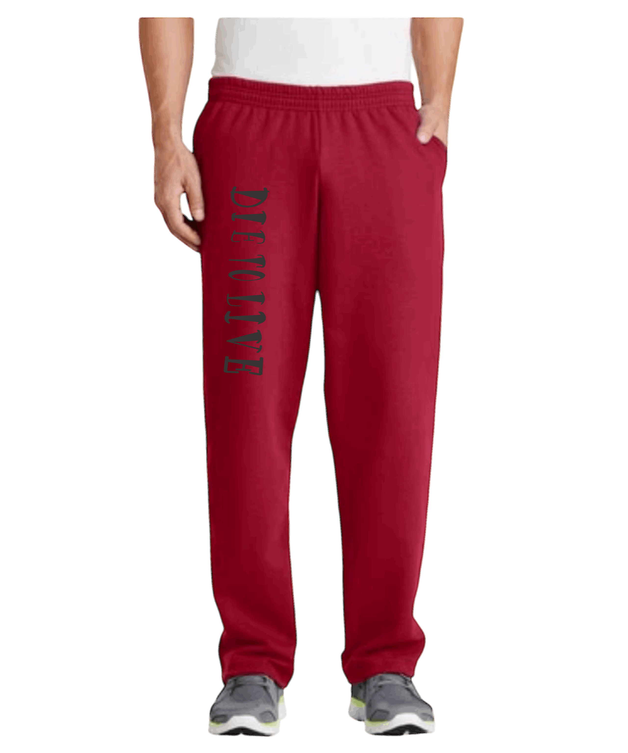 Die to Live Sweat Pants
