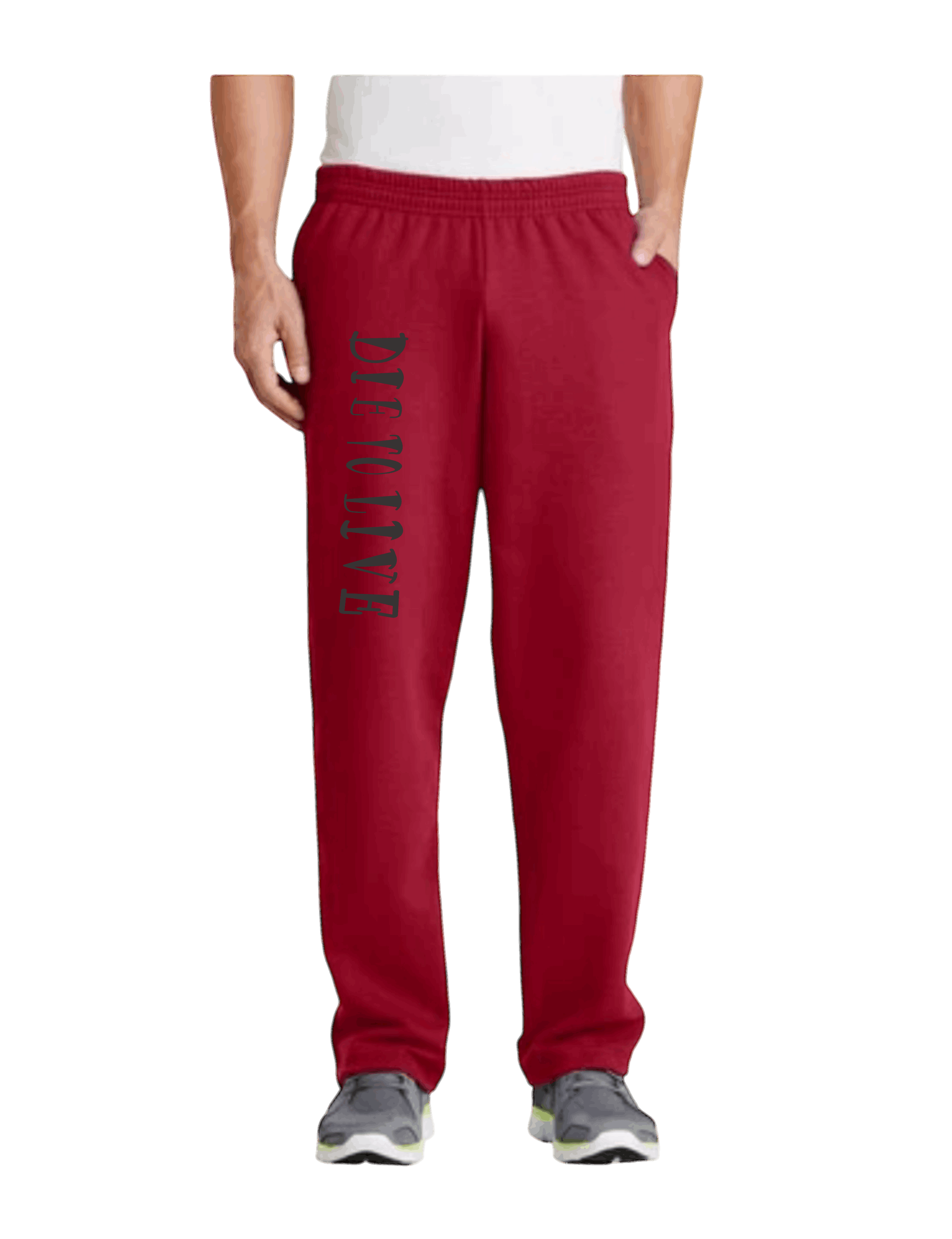Die to Live Sweat Pants